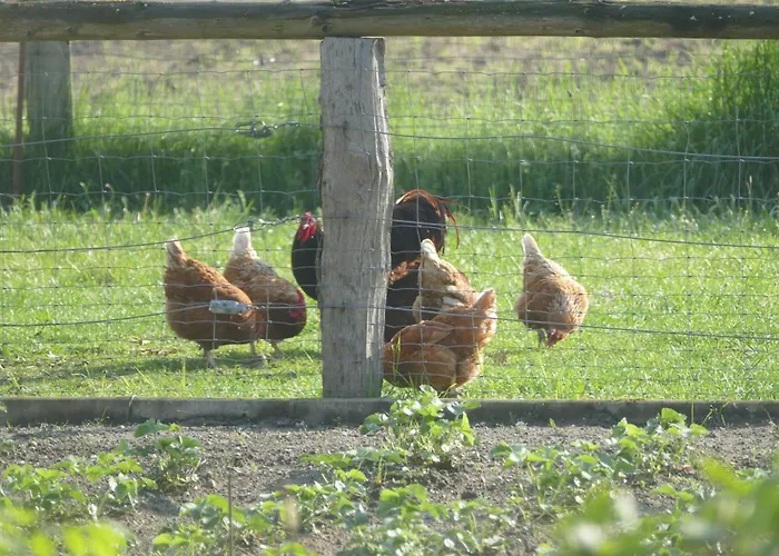 Ferienwohnung Vossberghof * Kranenburg (North Rhine-Westphalia)